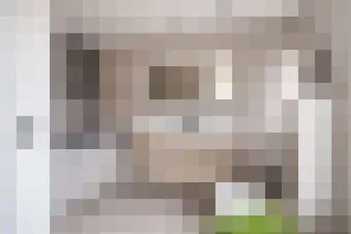 Molenstraat 10 Mill thumbnail 21