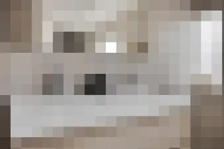 Molenstraat 10 Mill thumbnail 22