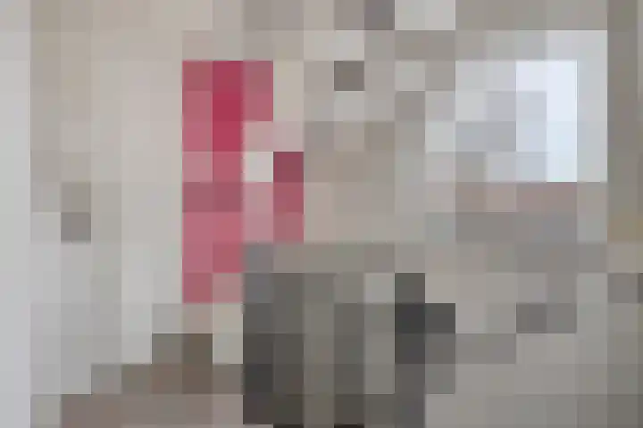 Molenstraat 10 Mill thumbnail 24