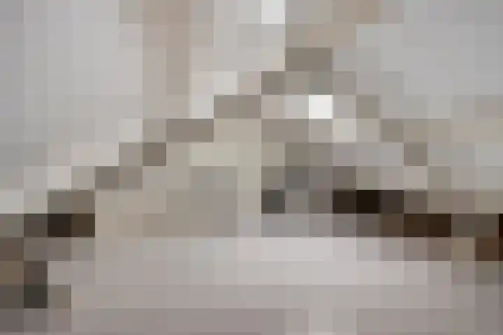 Molenstraat 10 Mill thumbnail 26