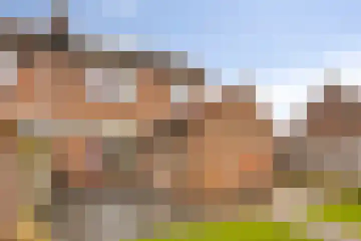 Molenstraat 10 Mill thumbnail 27