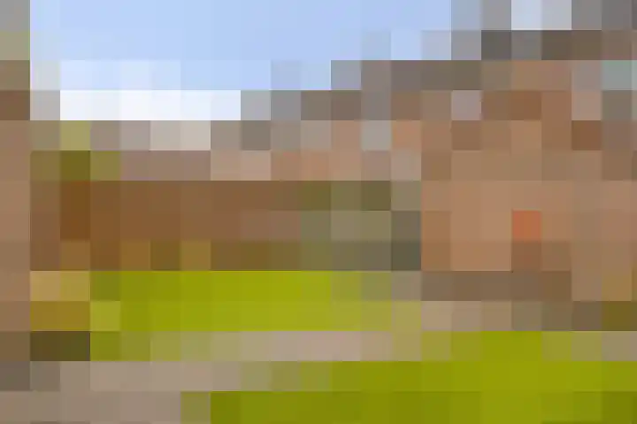 Molenstraat 10 Mill thumbnail 30