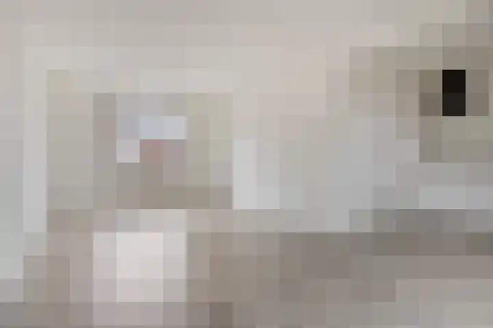 Molenstraat 10 Mill thumbnail 5