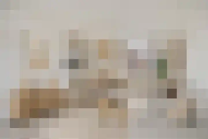 Molenstraat 10 Mill thumbnail 7