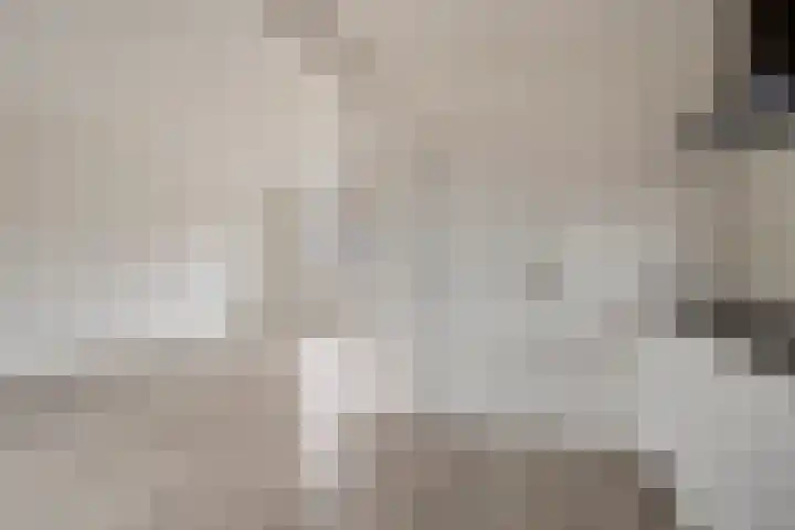Molenstraat 10 Mill thumbnail 8