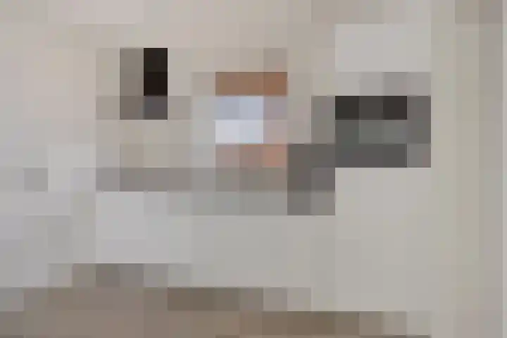 Molenstraat 10 Mill thumbnail 9