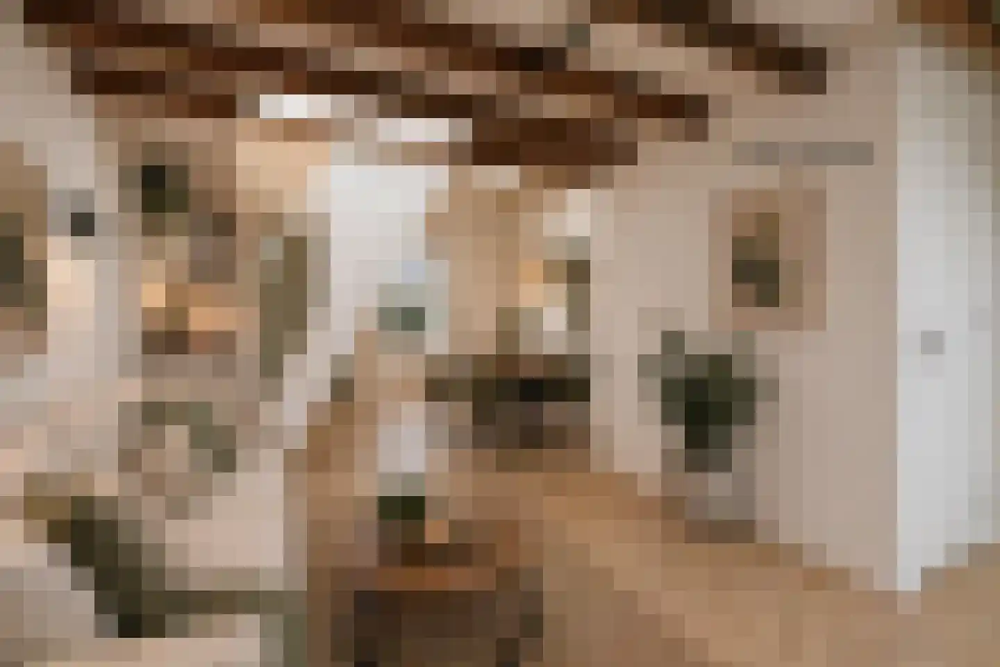 Molenstraat 10 Nieuwerkerk thumbnail 10