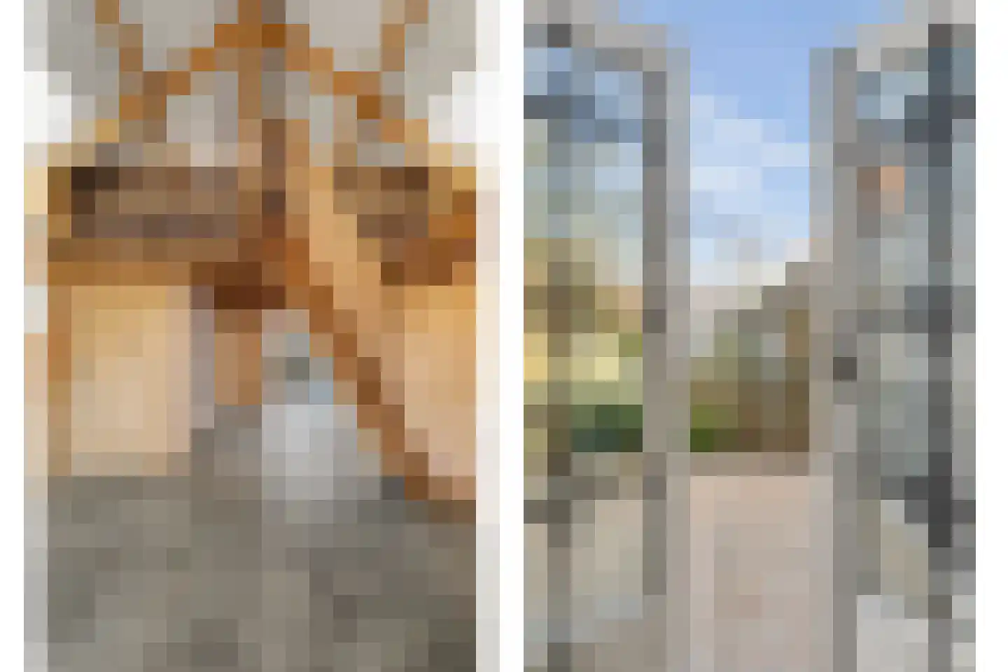 Molenstraat 10 Nieuwerkerk thumbnail 12