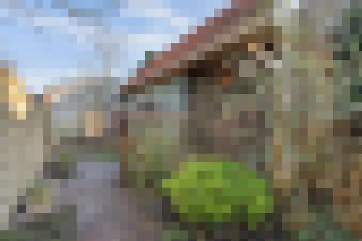 Molenstraat 10 Nieuwerkerk thumbnail 20
