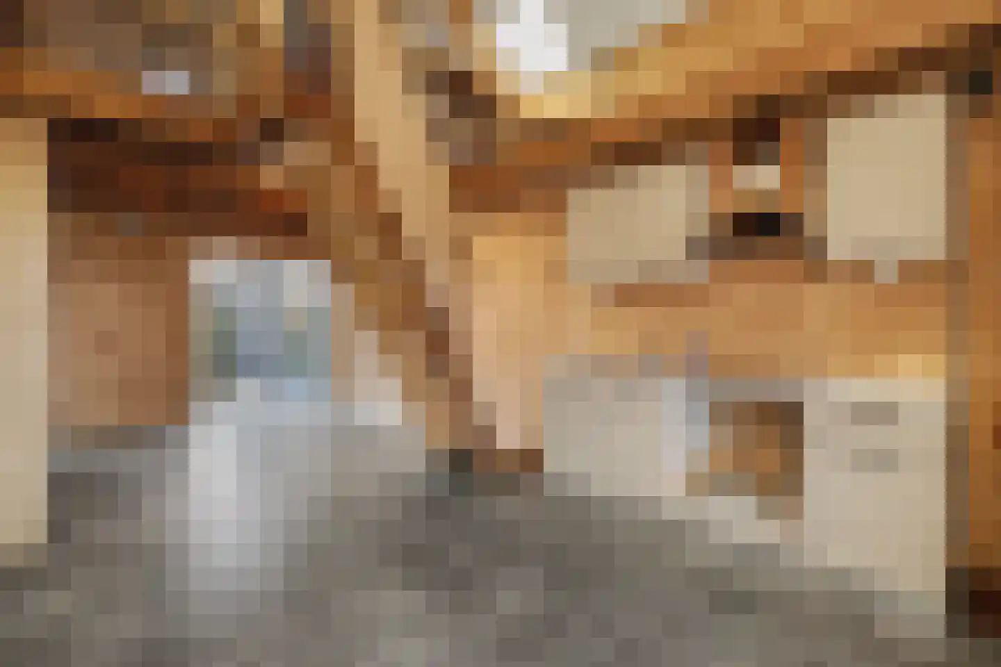Molenstraat 10 Nieuwerkerk thumbnail 4