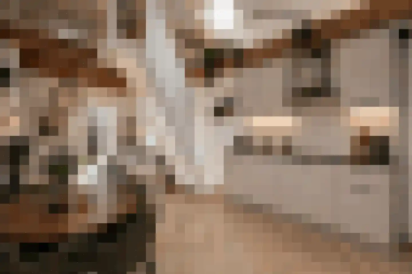 Molenstraat 10 Nieuwerkerk thumbnail 5