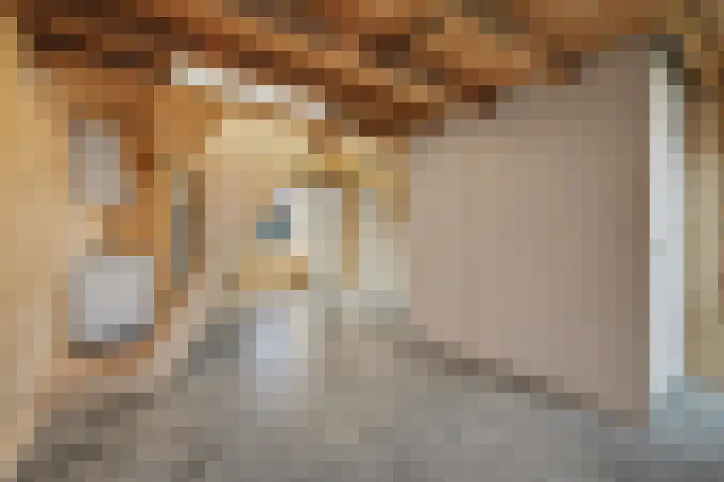 Molenstraat 10 Nieuwerkerk thumbnail 9
