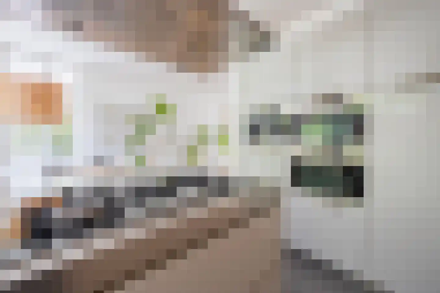 Molenstraat 10 Santpoort-Noord thumbnail 12