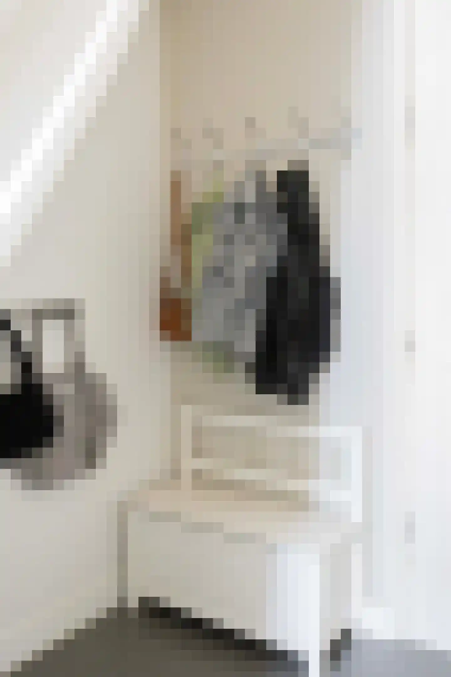 Molenstraat 10 Santpoort-Noord thumbnail 18