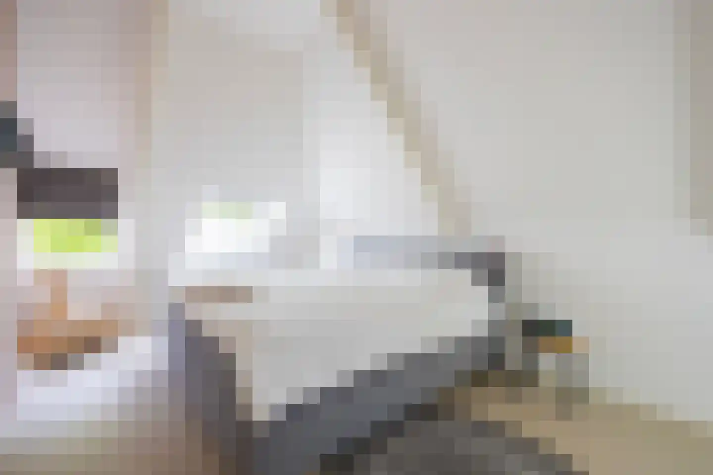 Molenstraat 10 Santpoort-Noord thumbnail 32