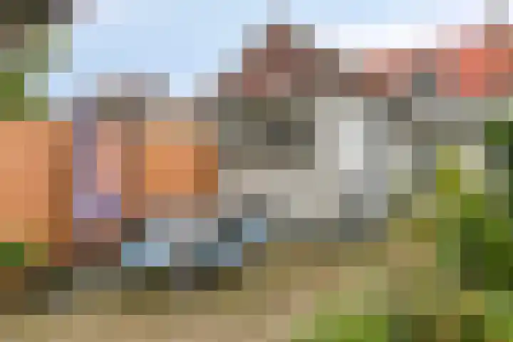 Molenstraat 100 Boxtel thumbnail 25