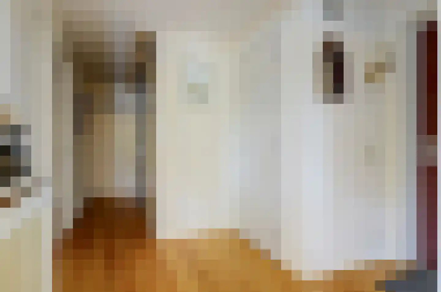 Molenstraat 102 Geleen thumbnail 14