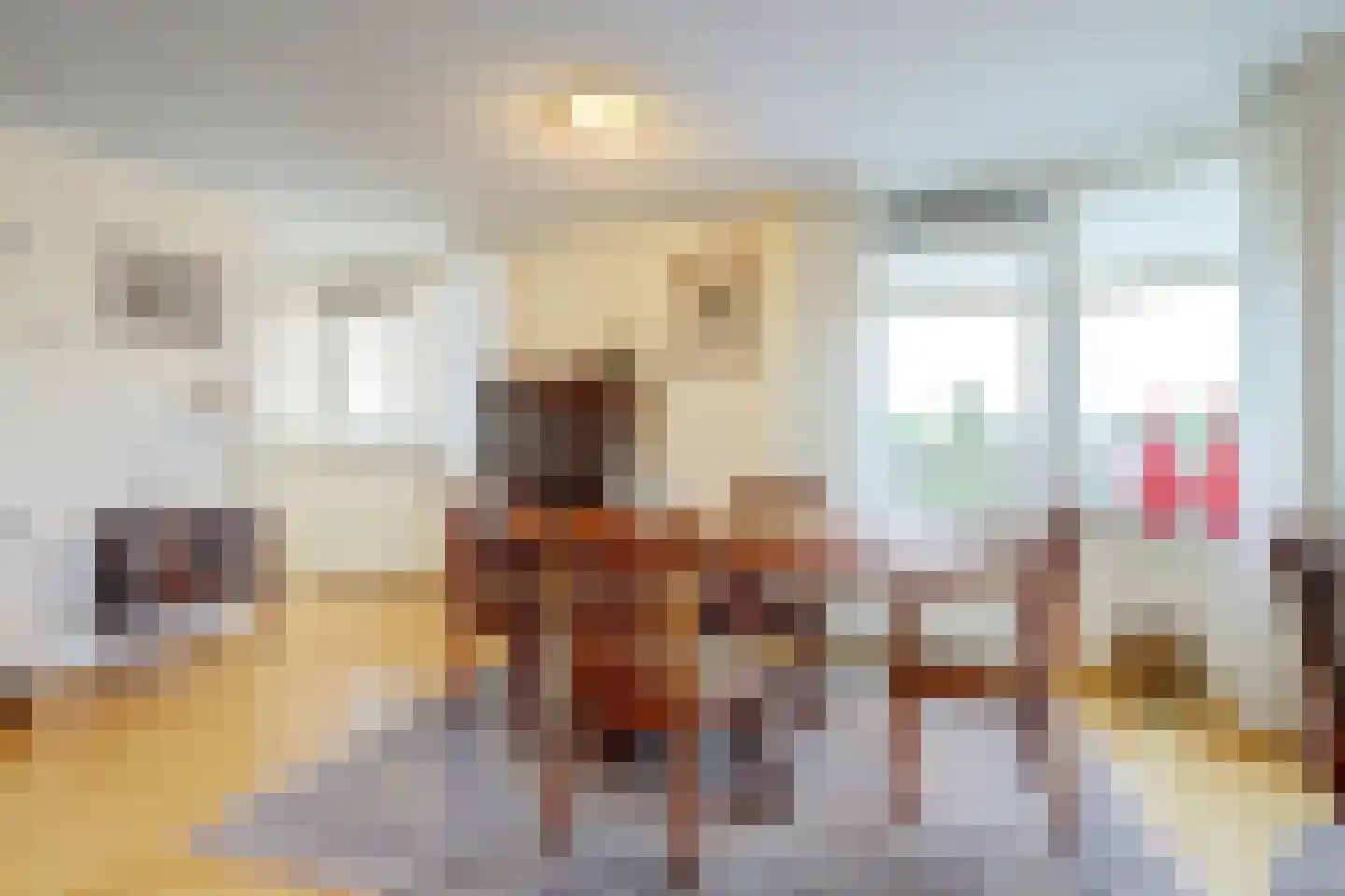 Molenstraat 102 Geleen thumbnail 22