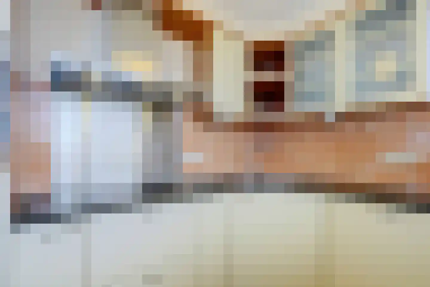 Molenstraat 102 Geleen thumbnail 24