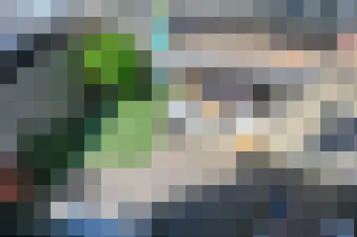 Molenstraat 102 Monster thumbnail 21