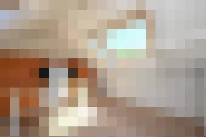 Molenstraat 102 Monster thumbnail 33