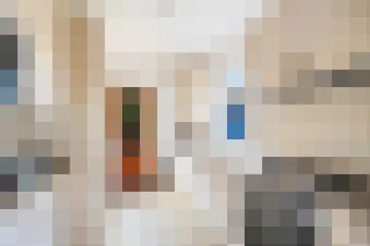 Molenstraat 108 Monster thumbnail 12