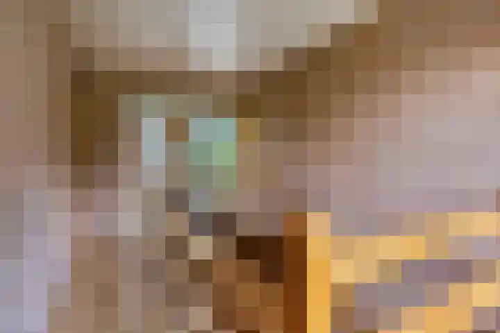 Molenstraat 11 Appeltern thumbnail 33