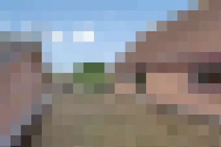 Molenstraat 11 Appeltern thumbnail 36