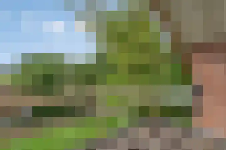 Molenstraat 11 Appeltern thumbnail 43