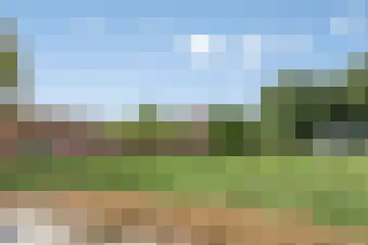 Molenstraat 11 Appeltern thumbnail 61
