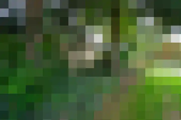Molenstraat 11 Asten thumbnail 34