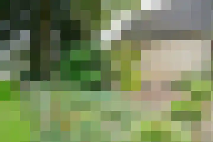 Molenstraat 11 Asten thumbnail 35