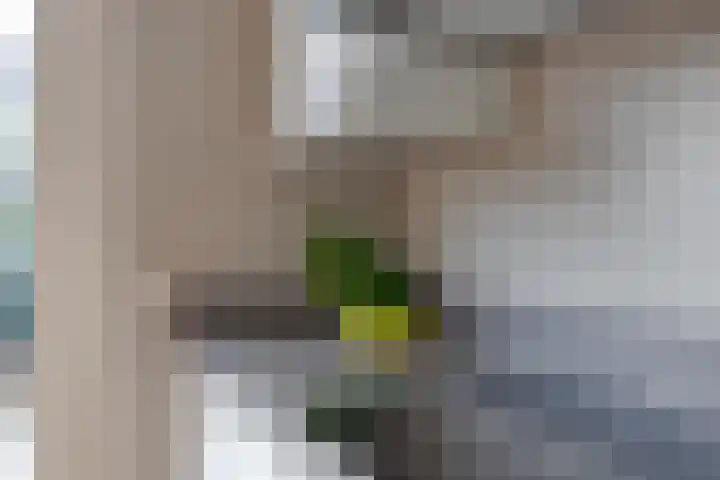 Molenstraat 11 Borne thumbnail 12
