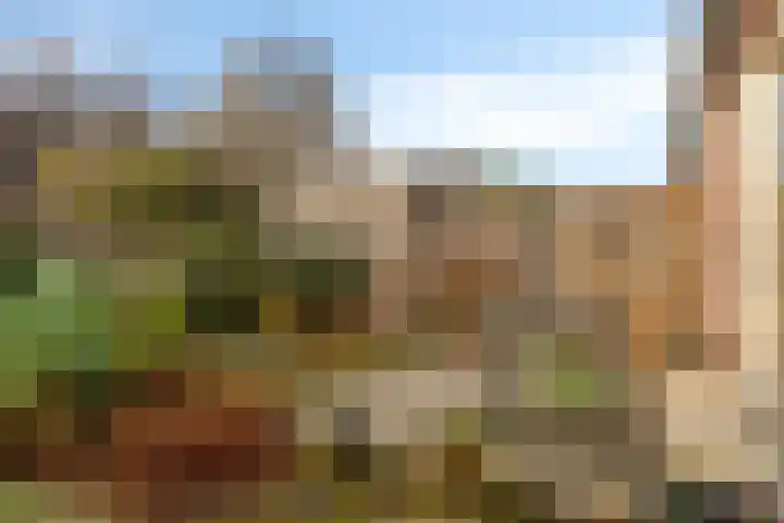 Molenstraat 11 Borne thumbnail 24