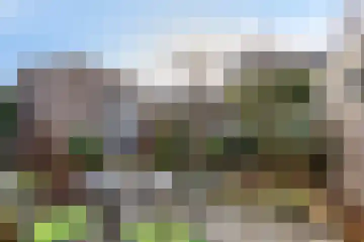 Molenstraat 11 Borne thumbnail 5