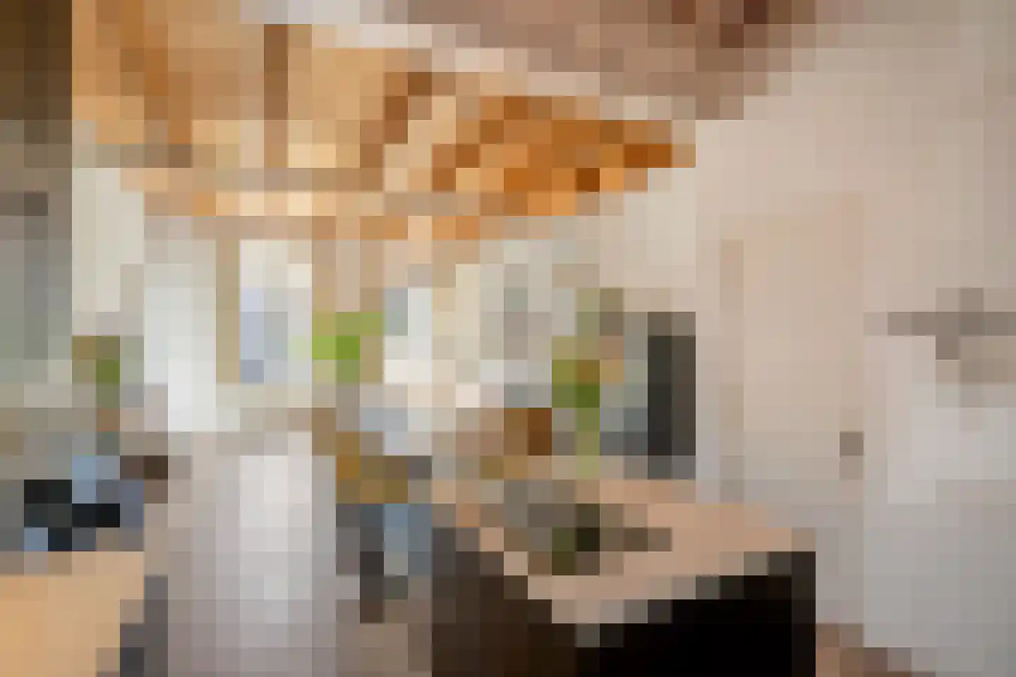 Molenstraat 11 G Delft thumbnail 12