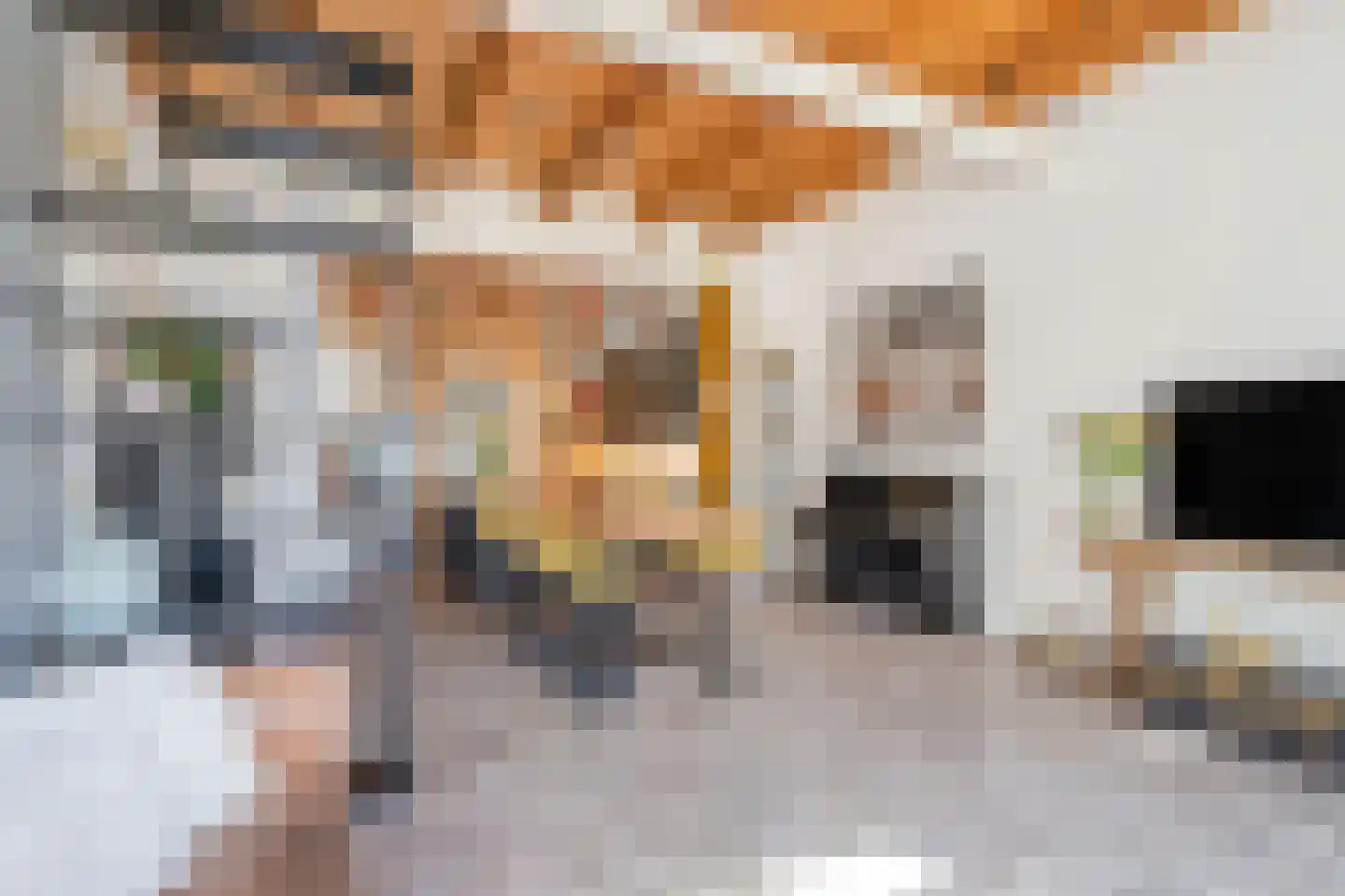 Molenstraat 11 G Delft thumbnail 13
