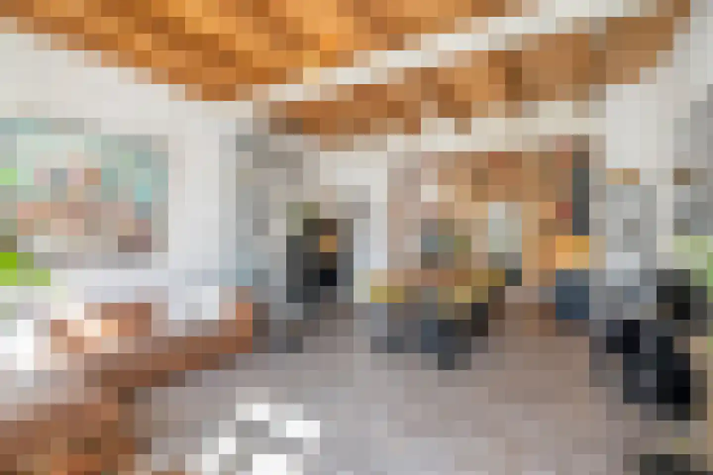 Molenstraat 11 G Delft thumbnail 15