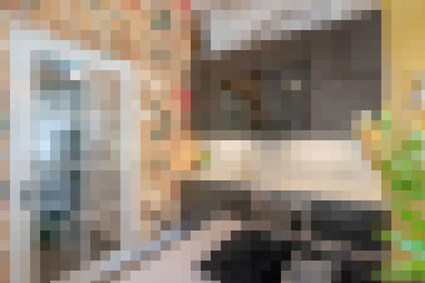 Molenstraat 11 G Delft thumbnail 8