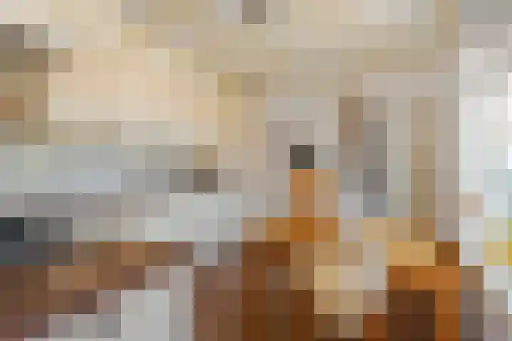 Molenstraat 11 Ingen thumbnail 14
