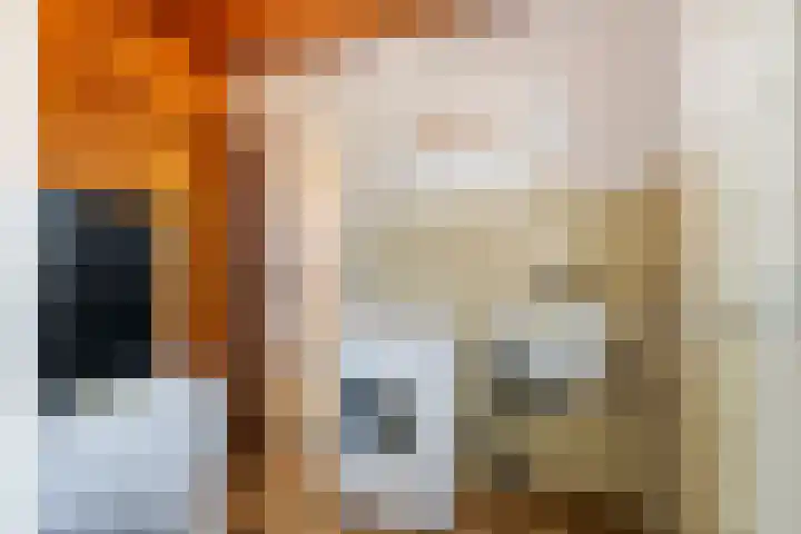 Molenstraat 11 Ingen thumbnail 17
