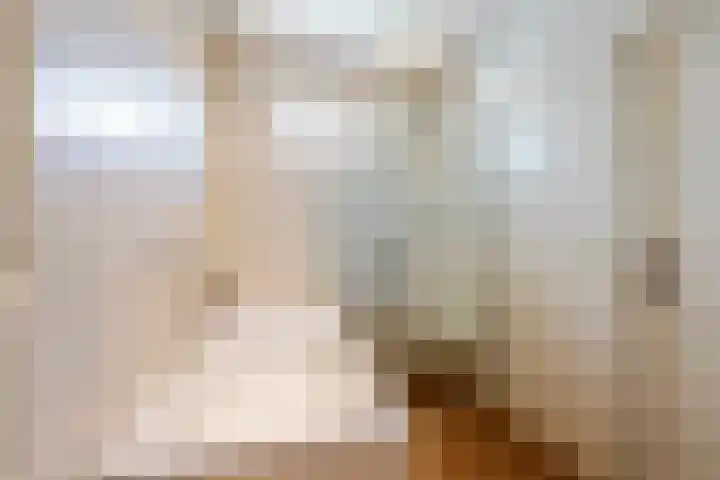 Molenstraat 11 Ingen thumbnail 18