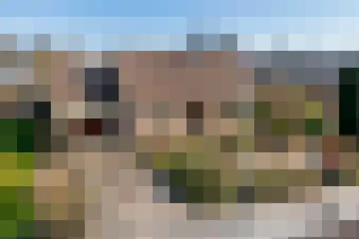 Molenstraat 11 Ingen foto 2