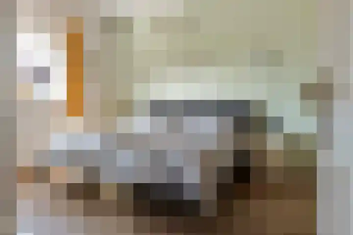 Molenstraat 11 Ingen thumbnail 21