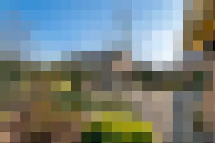 Molenstraat 11 Ingen thumbnail 25
