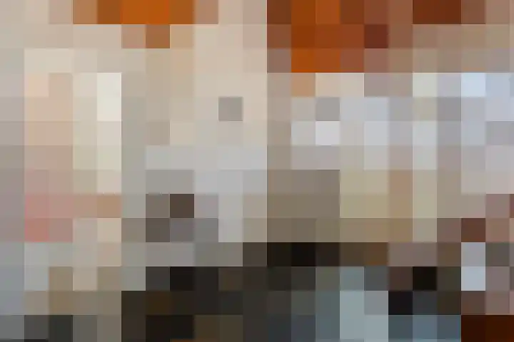 Molenstraat 11 Ingen thumbnail 7