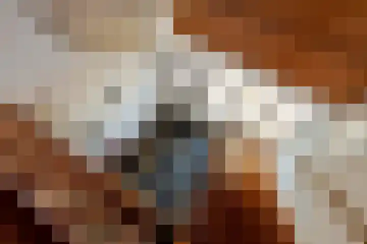 Molenstraat 11 Ingen thumbnail 8