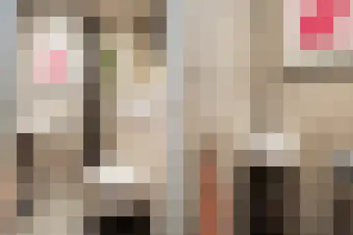 Molenstraat 11 Monster thumbnail 10