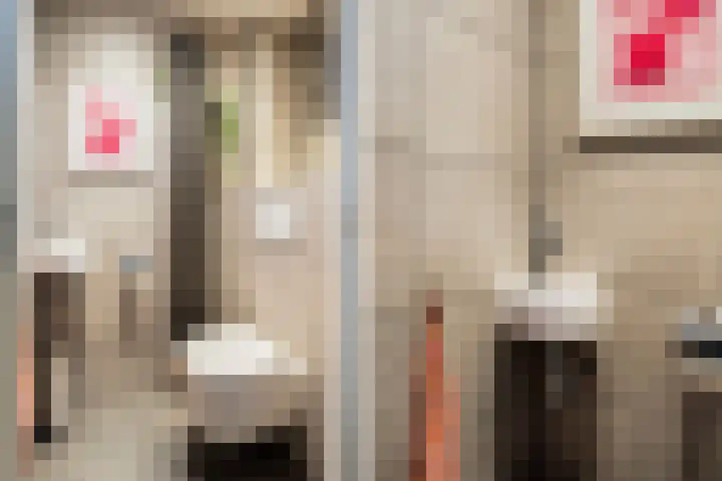 Molenstraat 11 Monster thumbnail 10