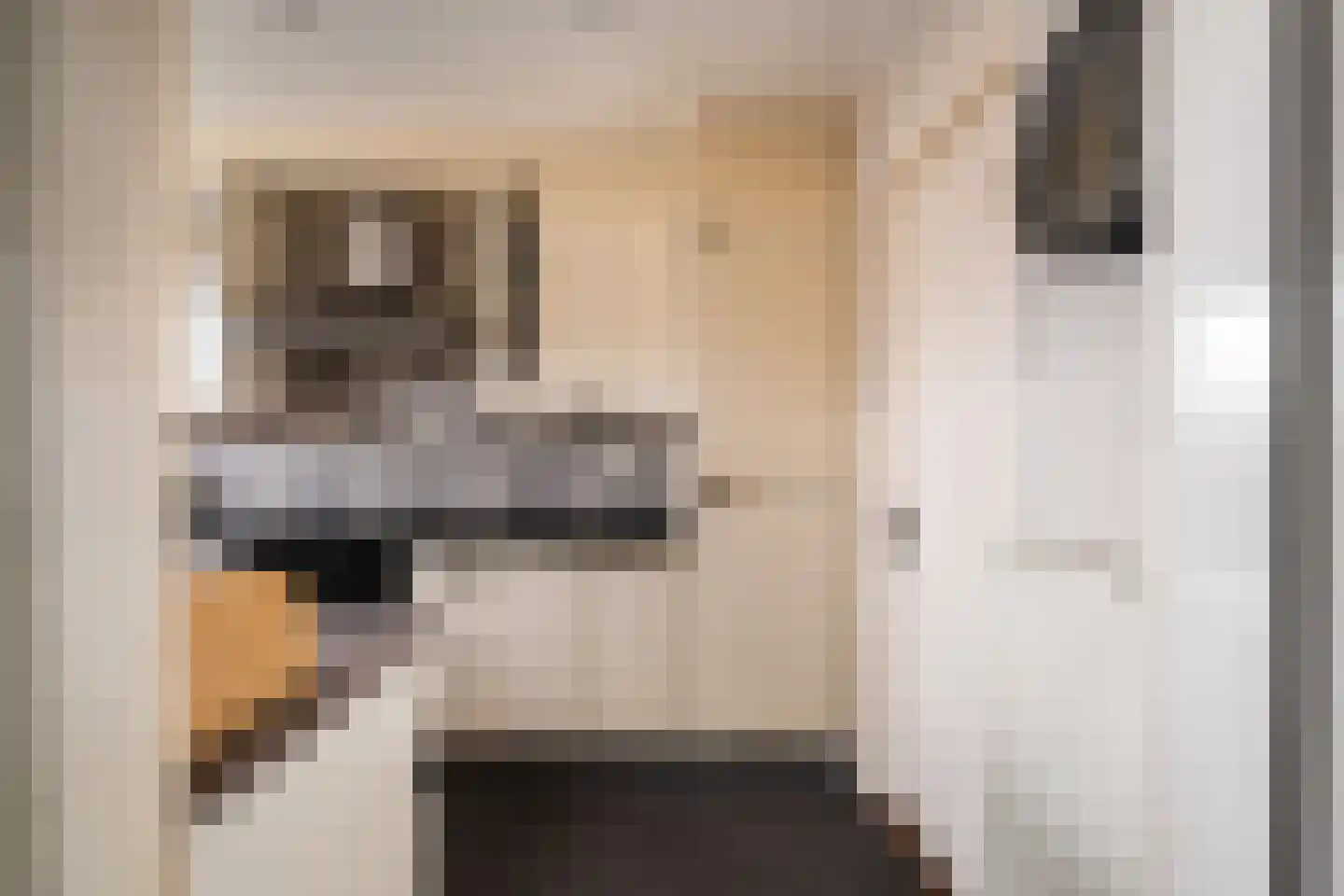 Molenstraat 11 Monster thumbnail 12